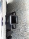 2005 Dodge Dakota SLT