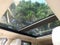 2011 Jeep Grand Cherokee Limited