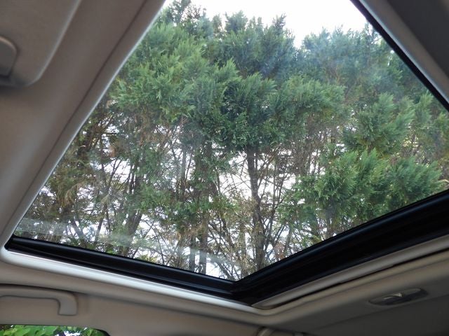 View 31