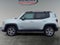 2019 Jeep Renegade Limited
